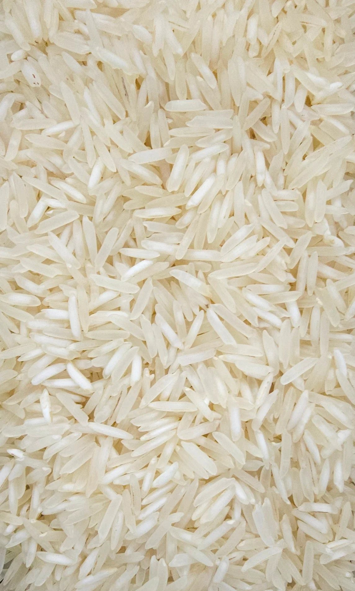 PUSA Steam Basmati Rice